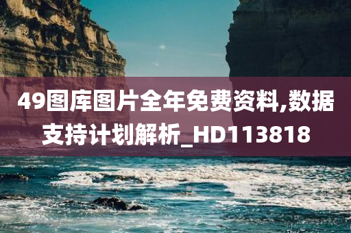 49图库图片全年免费资料,数据支持计划解析_HD113818