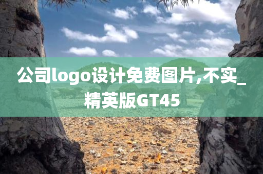 公司logo设计免费图片,不实_精英版GT45