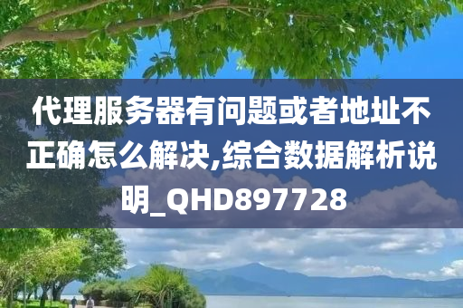 代理服务器有问题或者地址不正确怎么解决,综合数据解析说明_QHD897728