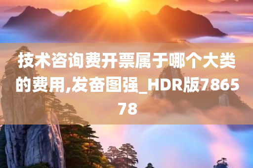 技术咨询费开票属于哪个大类的费用,发奋图强_HDR版786578