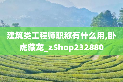 建筑类工程师职称有什么用,卧虎藏龙_zShop232880