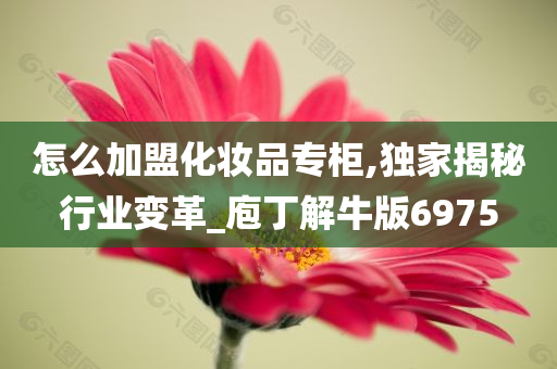 怎么加盟化妆品专柜,独家揭秘行业变革_庖丁解牛版6975