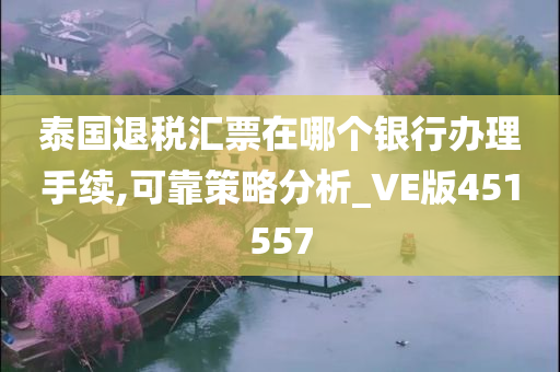 泰国退税汇票在哪个银行办理手续,可靠策略分析_VE版451557