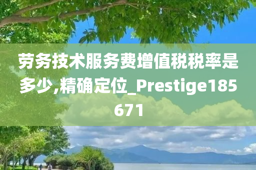 劳务技术服务费增值税税率是多少,精确定位_Prestige185671