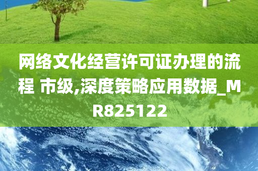 网络文化经营许可证办理的流程 市级,深度策略应用数据_MR825122