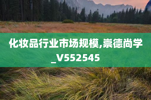 化妆品行业市场规模,崇德尚学_V552545