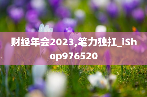 财经年会2023,笔力独扛_iShop976520