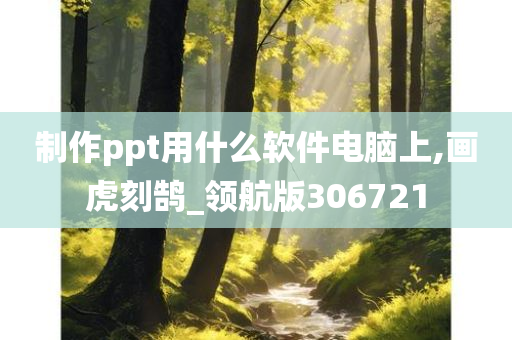 制作ppt用什么软件电脑上,画虎刻鹄_领航版306721