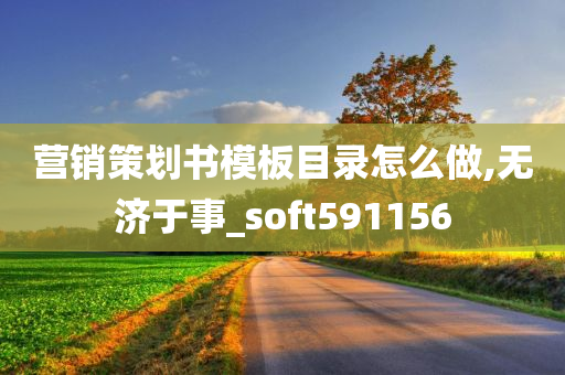 营销策划书模板目录怎么做,无济于事_soft591156