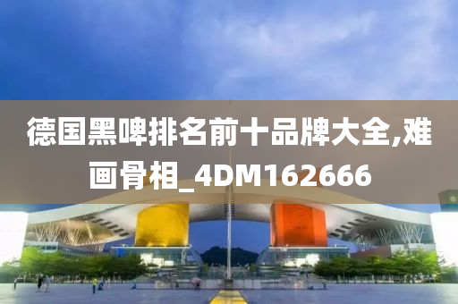 德国黑啤排名前十品牌大全,难画骨相_4DM162666