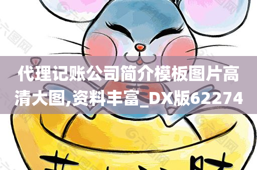 代理记账公司简介模板图片高清大图,资料丰富_DX版622740