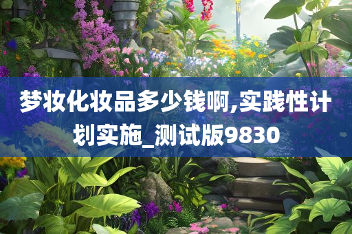 梦妆化妆品多少钱啊,实践性计划实施_测试版9830