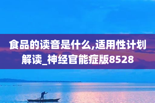 食品的读音是什么,适用性计划解读_神经官能症版8528