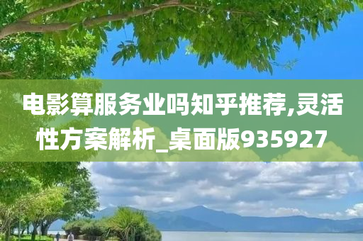 电影算服务业吗知乎推荐,灵活性方案解析_桌面版935927