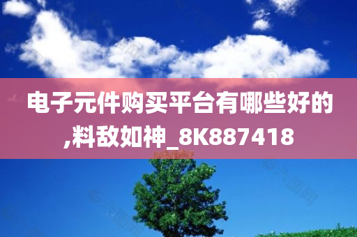 电子元件购买平台有哪些好的,料敌如神_8K887418