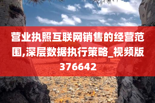 营业执照互联网销售的经营范围,深层数据执行策略_视频版376642