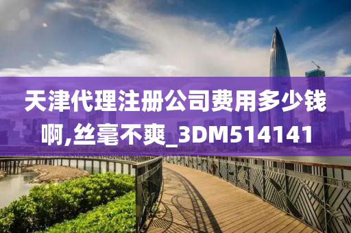 天津代理注册公司费用多少钱啊,丝毫不爽_3DM514141