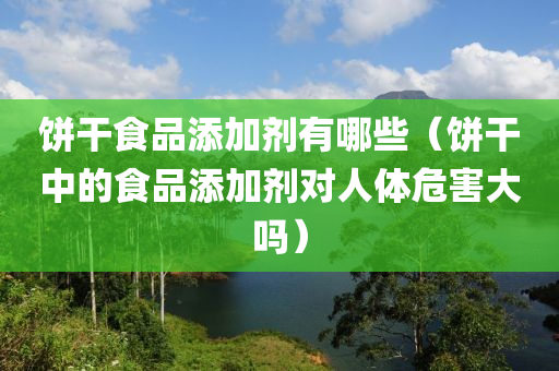 饼干食品添加剂有哪些（饼干中的食品添加剂对人体危害大吗）