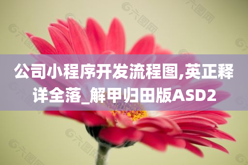 公司小程序开发流程图,英正释详全落_解甲归田版ASD2