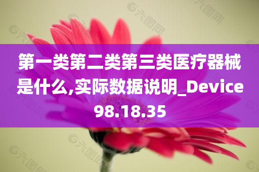 第一类第二类第三类医疗器械是什么,实际数据说明_Device98.18.35