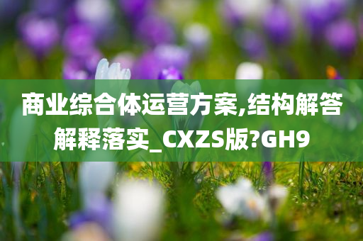 商业综合体运营方案,结构解答解释落实_CXZS版?GH9