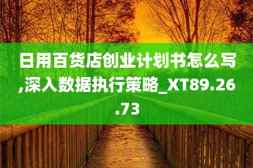 日用百货店创业计划书怎么写,深入数据执行策略_XT89.26.73