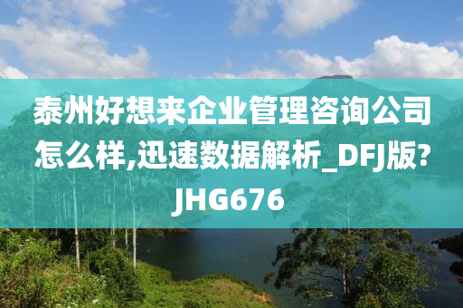 泰州好想来企业管理咨询公司怎么样,迅速数据解析_DFJ版?JHG676