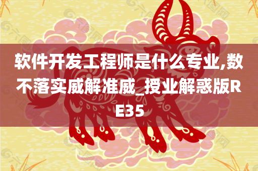 软件开发工程师是什么专业,数不落实威解准威_授业解惑版RE35