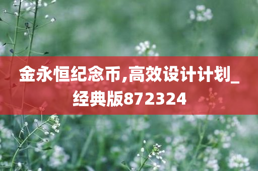 金永恒纪念币,高效设计计划_经典版872324