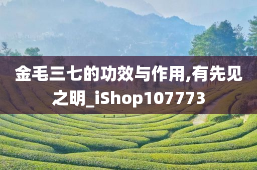 金毛三七的功效与作用,有先见之明_iShop107773