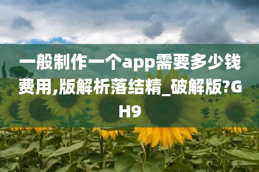 一般制作一个app需要多少钱费用,版解析落结精_破解版?GH9