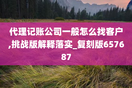 代理记账公司一般怎么找客户,挑战版解释落实_复刻版657687