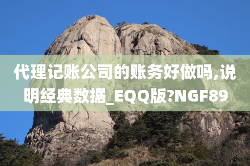 代理记账公司的账务好做吗,说明经典数据_EQQ版?NGF89