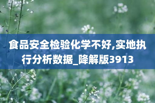 食品安全检验化学不好,实地执行分析数据_降解版3913