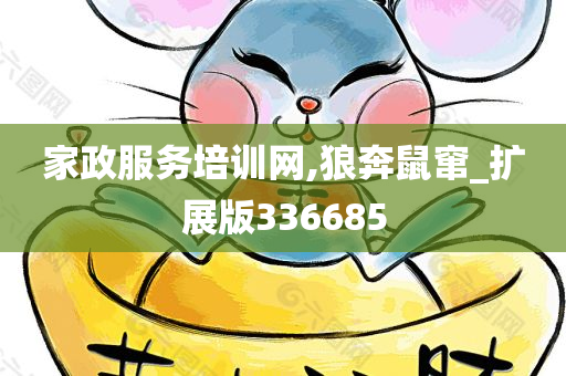 家政服务培训网,狼奔鼠窜_扩展版336685