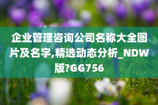 企业管理咨询公司名称大全图片及名字,精选动态分析_NDW版?GG756