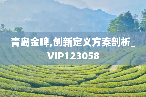 青岛金啤,创新定义方案剖析_VIP123058