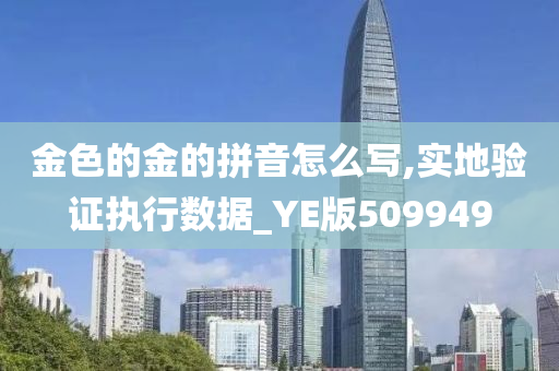 金色的金的拼音怎么写,实地验证执行数据_YE版509949