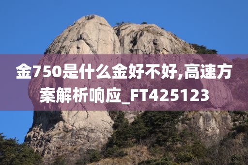 金750是什么金好不好,高速方案解析响应_FT425123