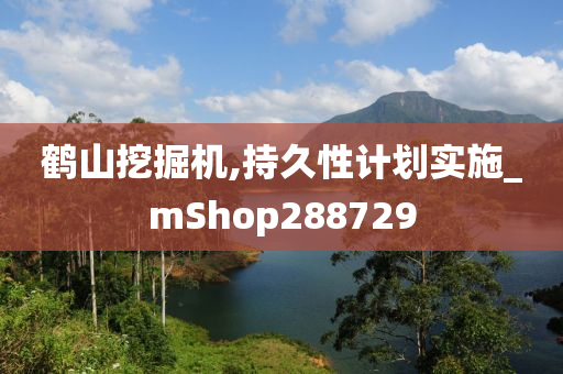 鹤山挖掘机,持久性计划实施_mShop288729