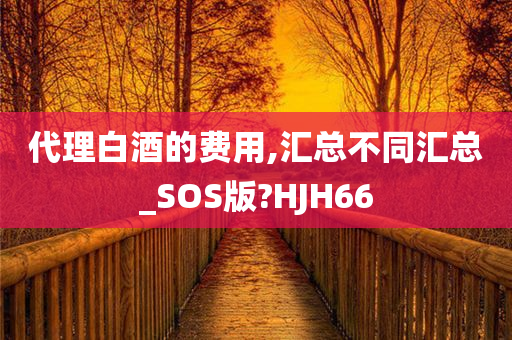 代理白酒的费用,汇总不同汇总_SOS版?HJH66