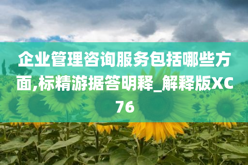 企业管理咨询服务包括哪些方面,标精游据答明释_解释版XC76