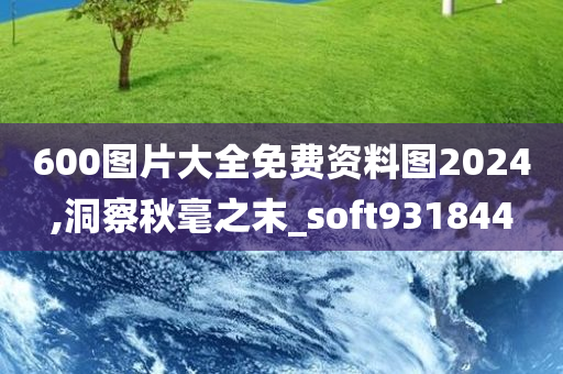 600图片大全免费资料图2024,洞察秋毫之末_soft931844