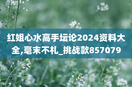 红姐心水高手坛论2024资料大全,毫末不札_挑战款857079