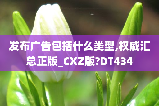 发布广告包括什么类型,权威汇总正版_CXZ版?DT434