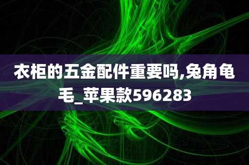 衣柜的五金配件重要吗,兔角龟毛_苹果款596283