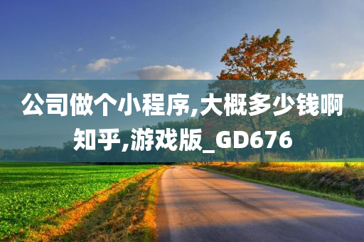 公司做个小程序,大概多少钱啊知乎,游戏版_GD676