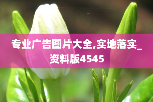 专业广告图片大全,实地落实_资料版4545