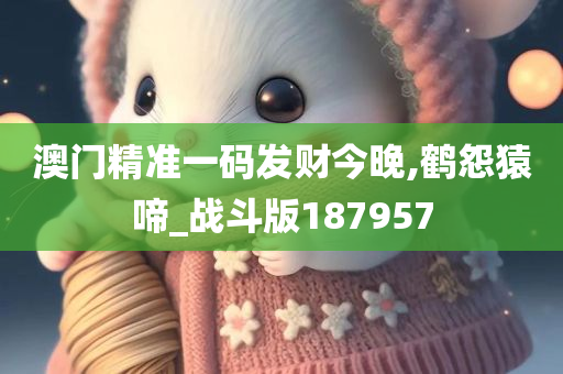 澳门精准一码发财今晚,鹤怨猿啼_战斗版187957