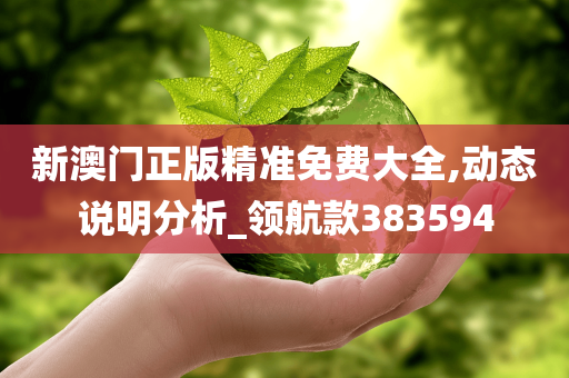 新澳门正版精准免费大全,动态说明分析_领航款383594